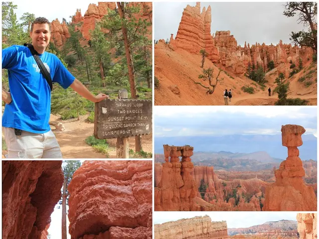 Highway development in Lycian region of Turkey sparks backlash due to potential damage to...