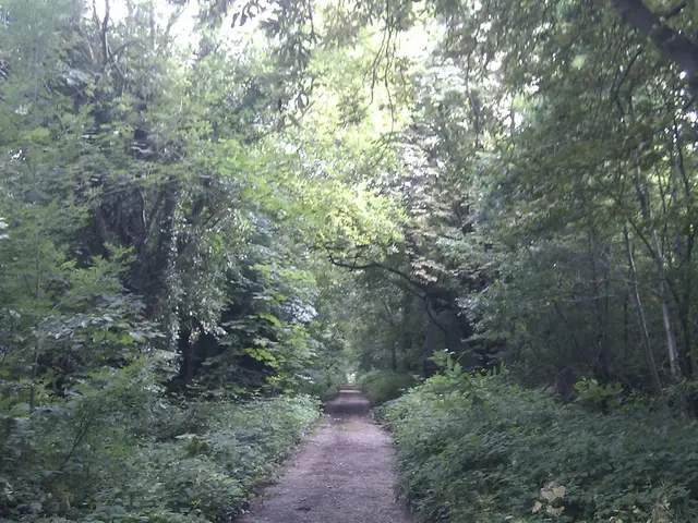 Unneeded Roads Expansion in April, Predicted by Ranjona Banerji