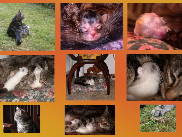 Display top-notch wildlife photography captures from the year 2023