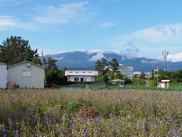 Exploring the Evolution of Architectural Designs and Structures in Tomorrow's World