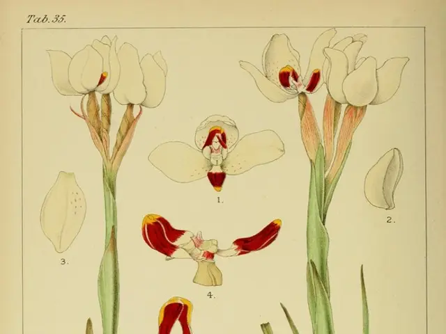 Seven Plants to Deter Insects and Pests in Your Flower Bed