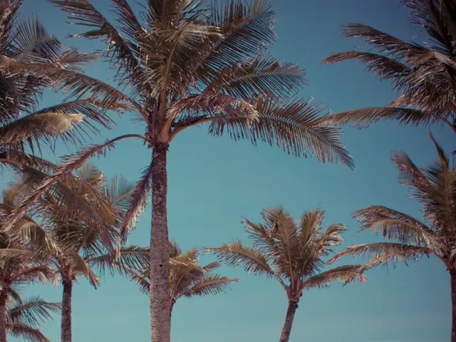 Explore Istanbul's pristine shoreline jewels: Picture-perfect beaches awaiting summer fun