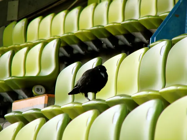 Slate-Colored Wishbone Chair Now Gracefully Stands in My Domicile!