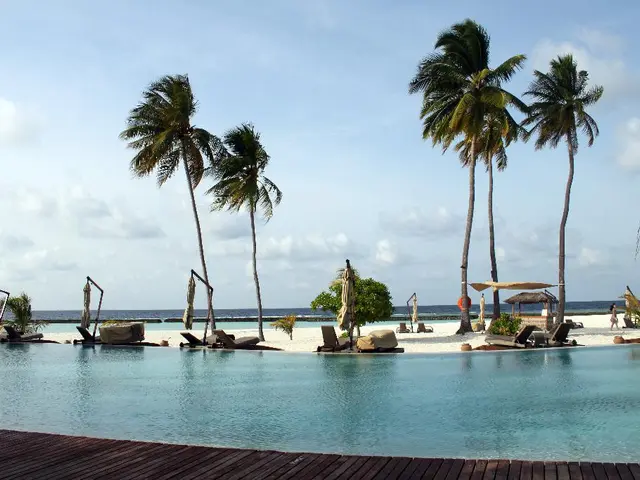 Highlight on Local Enterprise: Golden Light Paddle Company