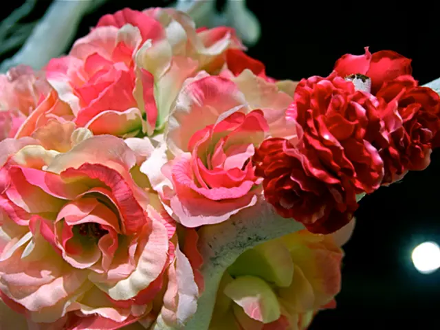 Expanded Blooms: Rose Carpet Varieties and Creative Ways to Integrate Them in Your Yard Landscape