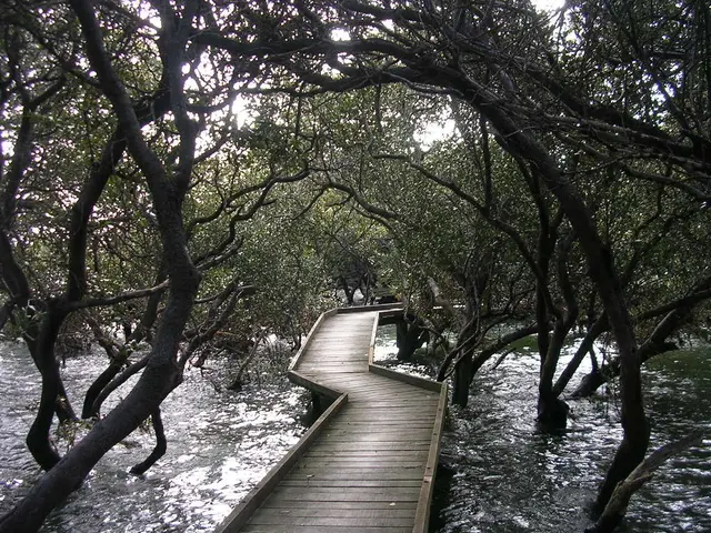 Over New York, a futuristic park suspended in the air showcases horticultural expertise from...
