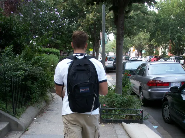 Choosing Between Local and National Moving Companies: The Best Decision for Your Relocation