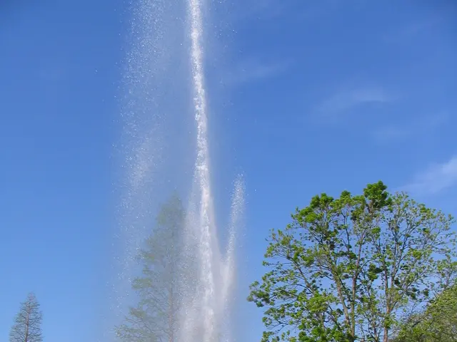 Instructions on Selecting the Optimal Dehumidifier for Your Residence