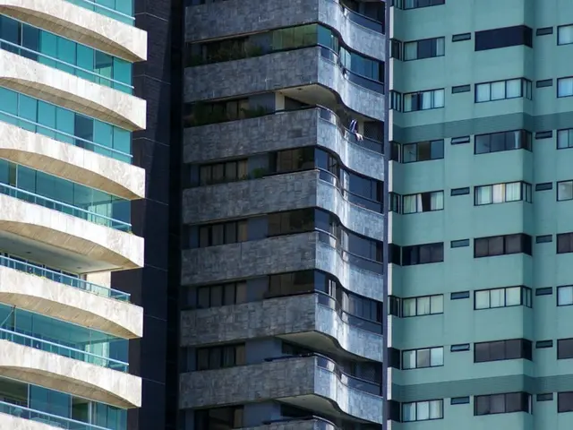 Local News Update: Decorative Dadar Area