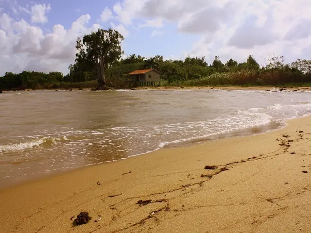 California Prominence in Literature: A Focus on Two Bay Area Writers