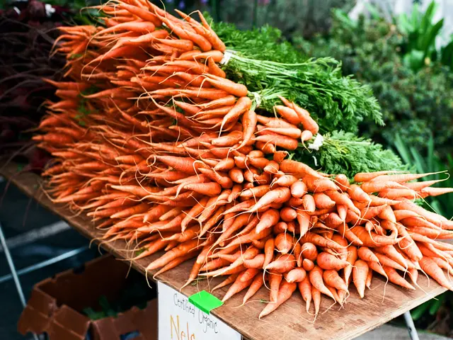 Planting Carrots in Washington State: A Seasonal Timetable for Successful Growth