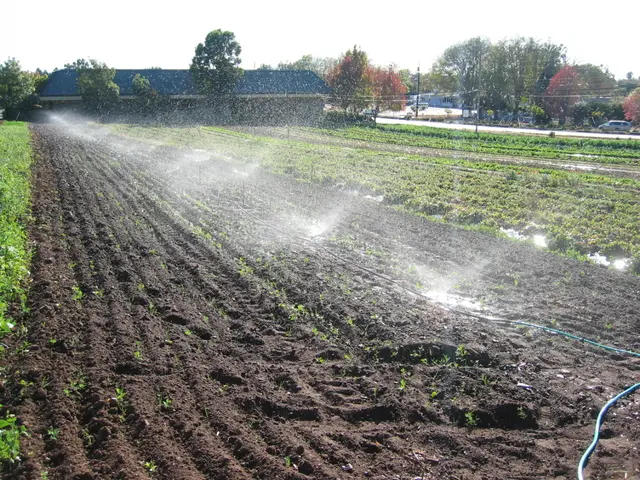 Ensuring the consistency of irrigation networks: Preventing system malfunctions