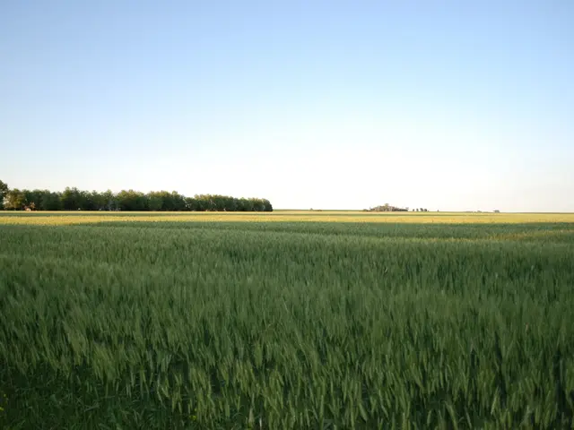 Emigrate to Ireland for a lush, verdant countryside and spirited urban environments