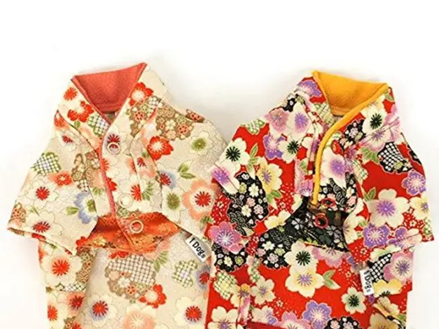 Fashion editor who adores dresses shares her top 12 picks featuring functional pocketed styles