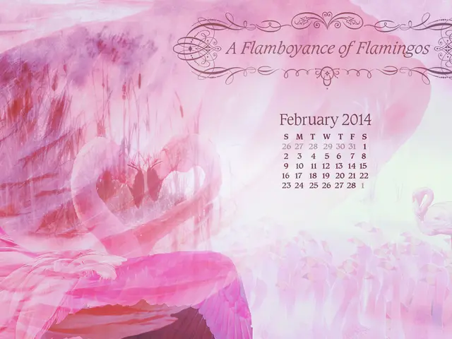 Step-by-Step Instruction for Creating an Editorial Plan