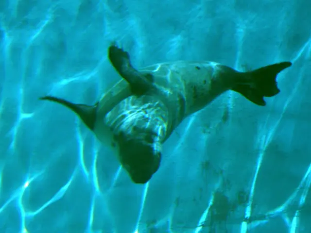 Michigan's Water Softener Salt Delivery: Efficient Services for Pure Waters