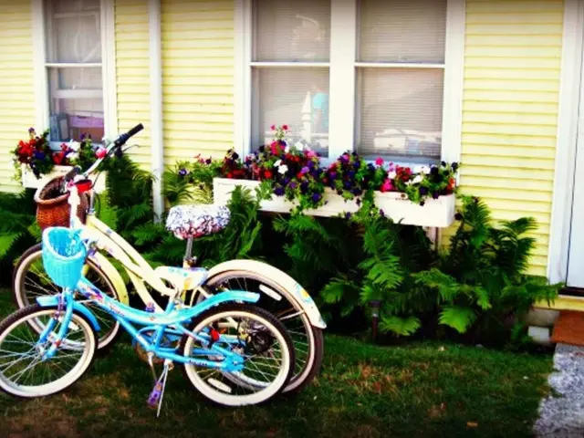 Enhanced Greenhouse Ventilation Systems Elevate Plant Growth