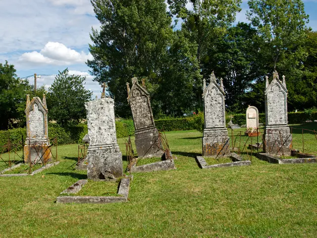 Criminalization of Garden Essentials: Punishment for Hedges, Trees, and Compost Use