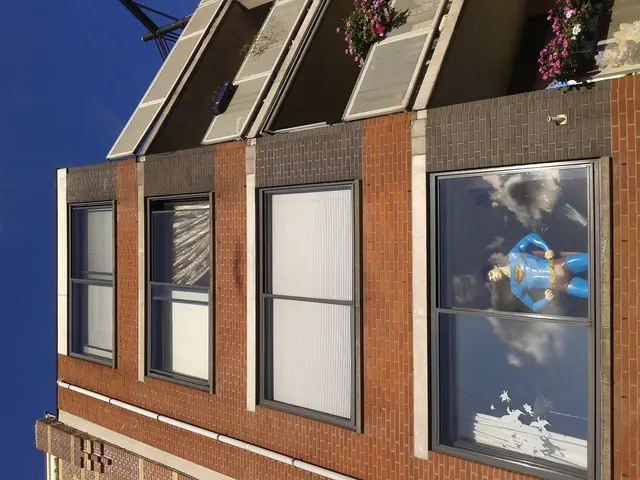 Top Indoor Flora to Enhance Your Mental Well-being