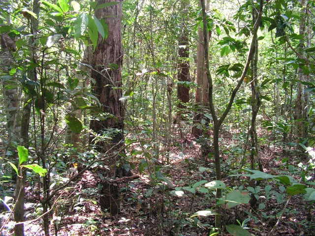 Divine Flora in Hindu Mythology: Exploring the Top 5 Sacred Plants