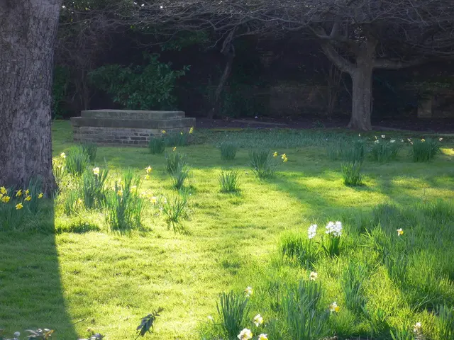 Enhance Your Outdoor Space with These 8 Vibrant Native Vegetation Choices