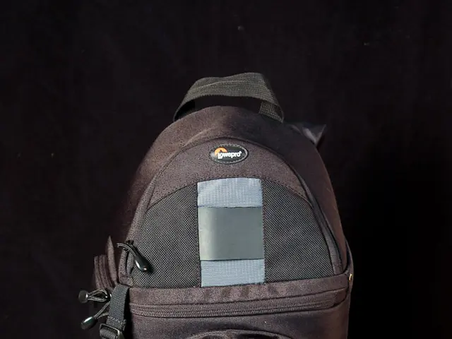 Reinventing Style in Travel Accessories: Patricia Gucci Revitalizes Carry-On Luggage Trends