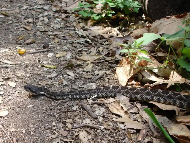 Effective and Ineffective Natural Methods for Keeping Snakes Away: A Comprehensive Guide