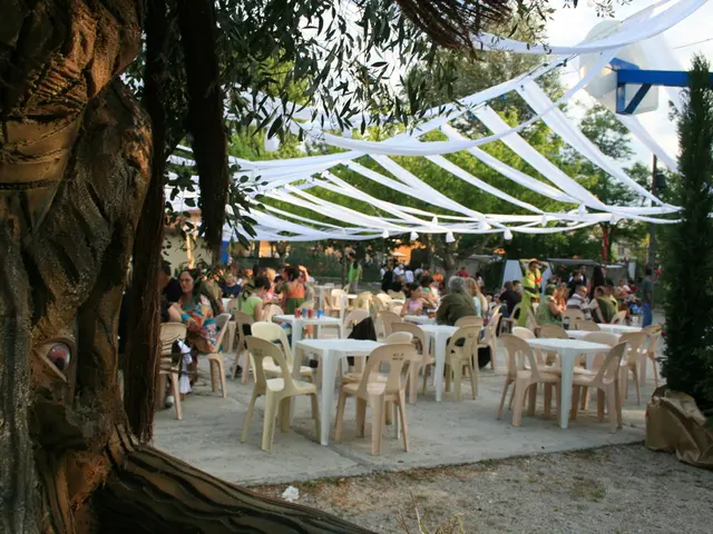 Modern dining chairs have gained popularity in 2025 due to recent design trends.