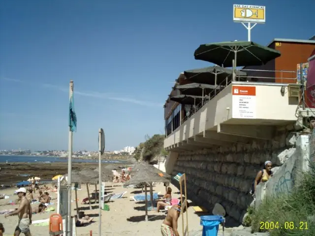 Renters on Sochi beaches demand payment for providing sun shelter