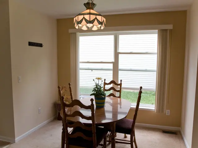 Guide to Selecting Ideal Indoor Greenery for Your Living Area