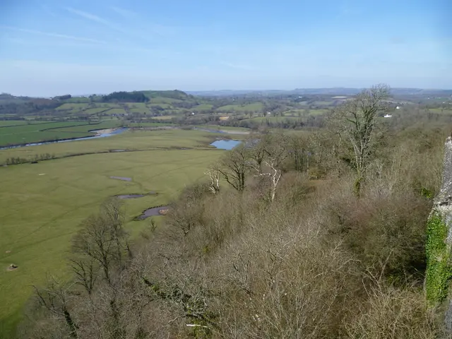 Discovering Vigor and Power in Nature's Embrace: Reconnecting with Primal Fitness Outdoors