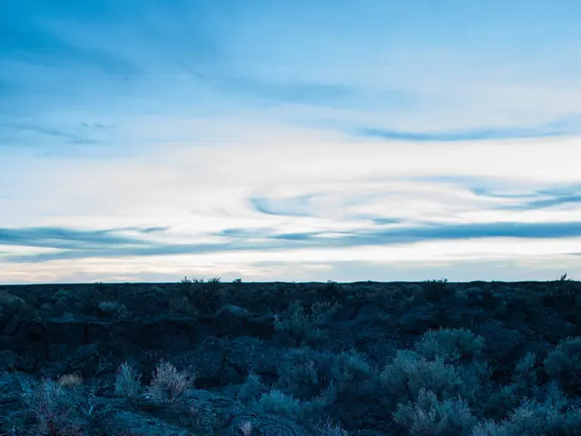 Simple Steps to Ignite a Campfire: An Easy-to-Follow Guide for Successful Firelighting Every Time