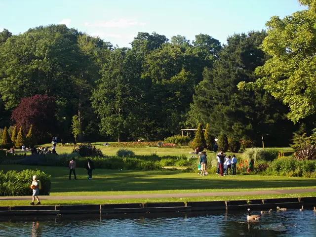 Reason Behind the Absence of Household Rabbits