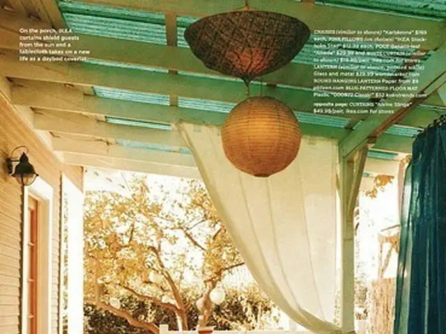 Sustainable Bed Frames: Captivating Options for a Greener Slumber Experience