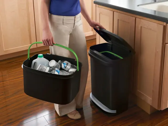 Strategy for Maintaining a Bin's Freshness in the Heat of Summer: 5 Approaches to Counteract...