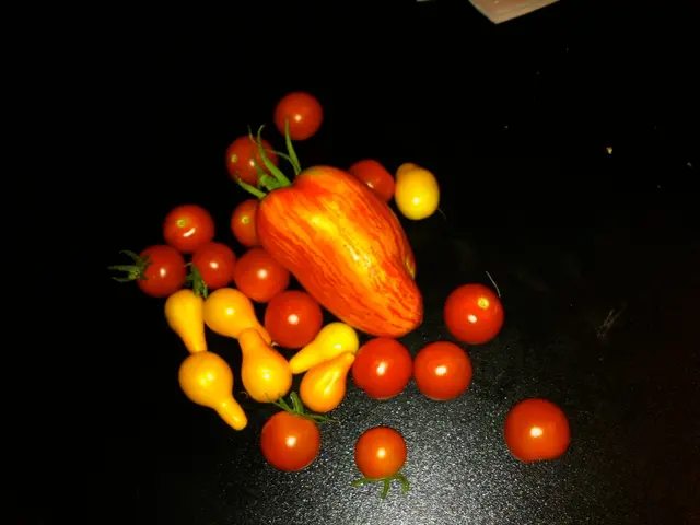 Seasonal Produce in August: Which fruits and vegetables are currently ripe and available?