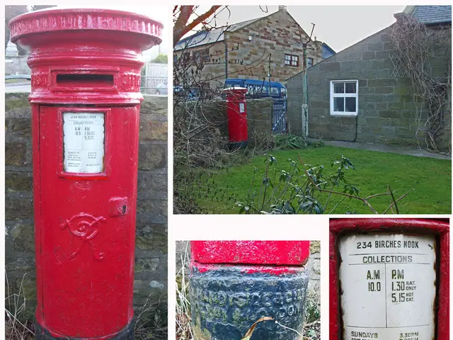 Guide to Nurturing Dwarf Lime Hydrangeas for a Burst of Refreshing Citrus Tone Ideal for Potted...