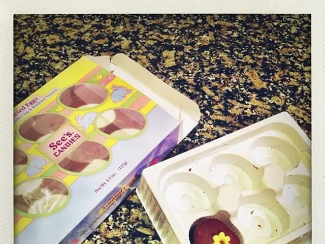 Domestic Animal Feeding Ground Animal Park Hamm, Denmark