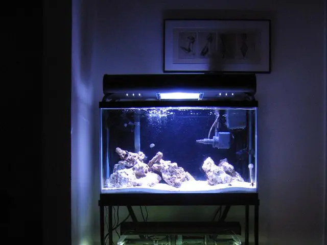 Construction of a Marine 40 Nuvo Pro 2 Aquarium and accompanying Stand - Comprehensive Tank...