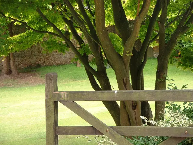 Investing in Exchange-Traded Funds (ETFs) that focus on sustainability, backing green initiatives,...