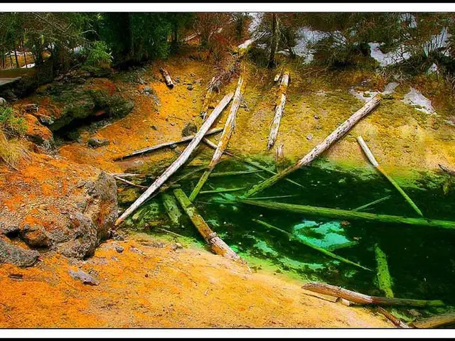 Techniques for Producing New Bonsai Plants through Clippings: Ensuring Growth and Success
