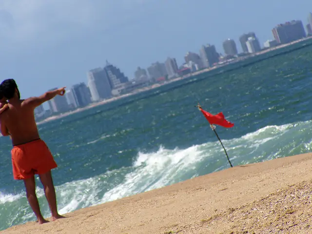 Rumor has it: Nicole Kidman planning Portugal relocation?