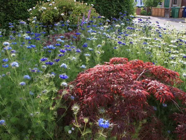 Strategies for Concealing Bin Containers in Front Yard Landscapes - Insights from a Design Expert...