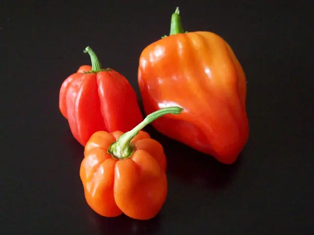 Destructive Flaws That May Imperil Your Bell Peppers