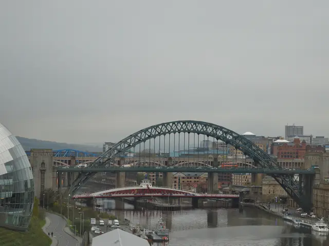 In Lankao, the Solution Unveils Itself in Arboreal Form