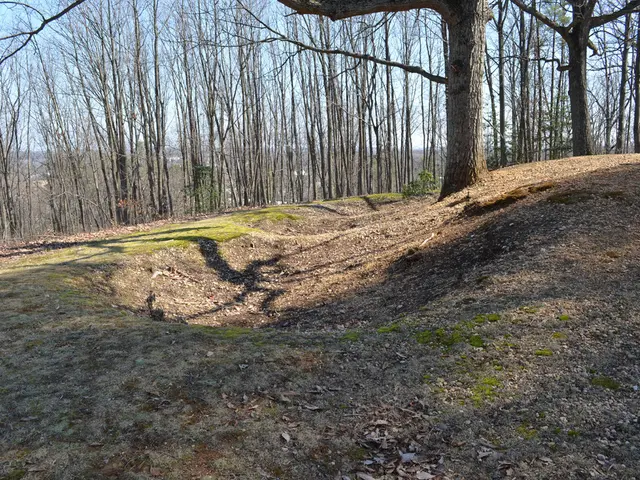 Cultivating Harvest without Soil Tillage: Optimal No-Till Gardening Techniques