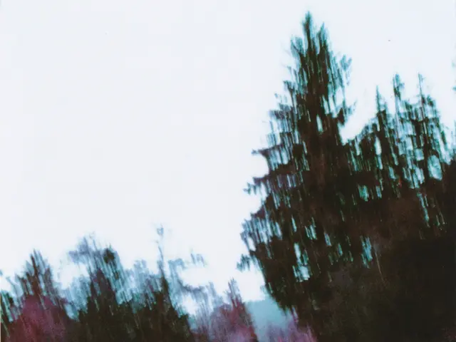 Autumnal tree planting ahead for Bremen city: 500 youthful street trees to be set in place