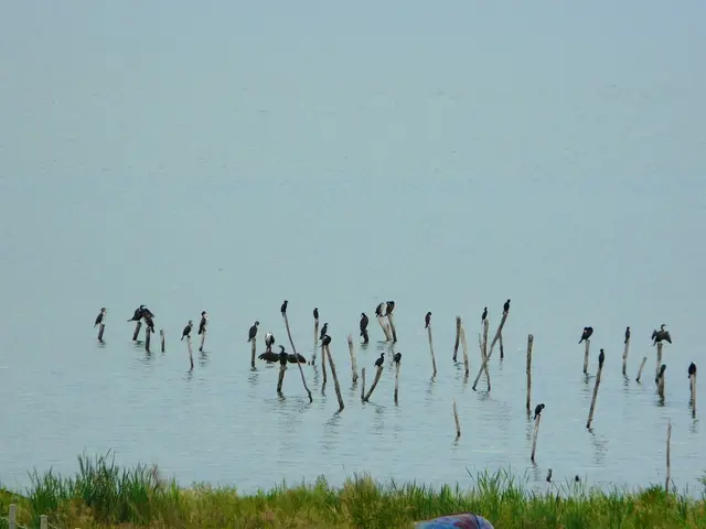 After a span of 53 years delving into Kentucky's breathtaking natural landscapes, Art Lander is...