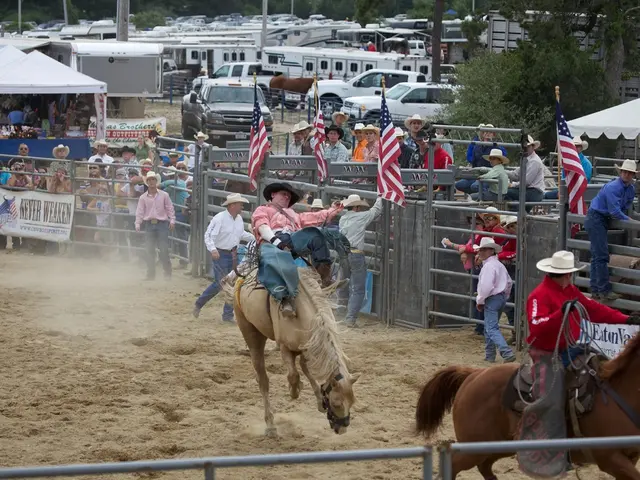 Young farmers take center stage at Tullamore Show, showcasing their significant contributions