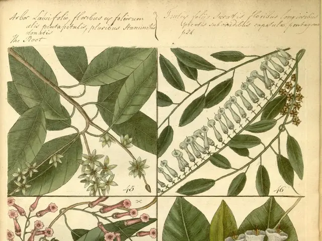 Optimal Indoor Plant Composting Technique for Promoting Growth